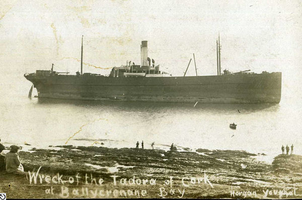 S.S. Tadorna